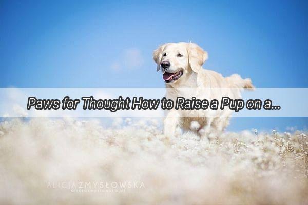 Paws for Thought How to Raise a Pup on a Shoestring Budget